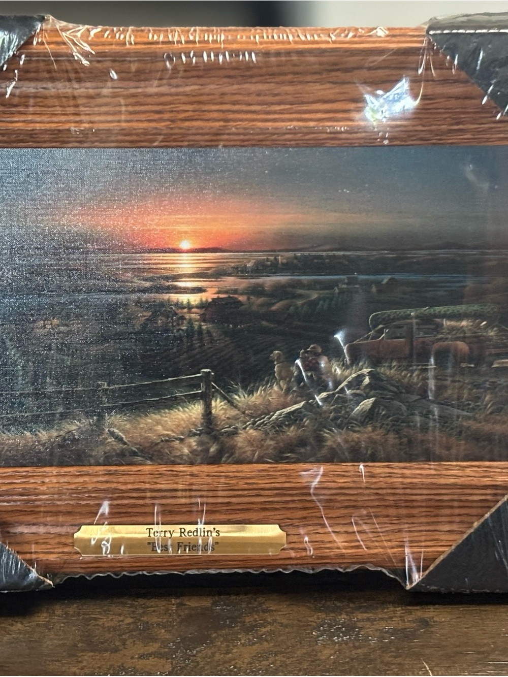 Terry Redlin "Best Friends" Framed Sunset Print